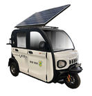 Трицикл груза панели солнечных батарей 270X120X170cm электрический