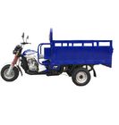 Рикша трицикла Уилера 150cc 175cc нефти 3 нагружая